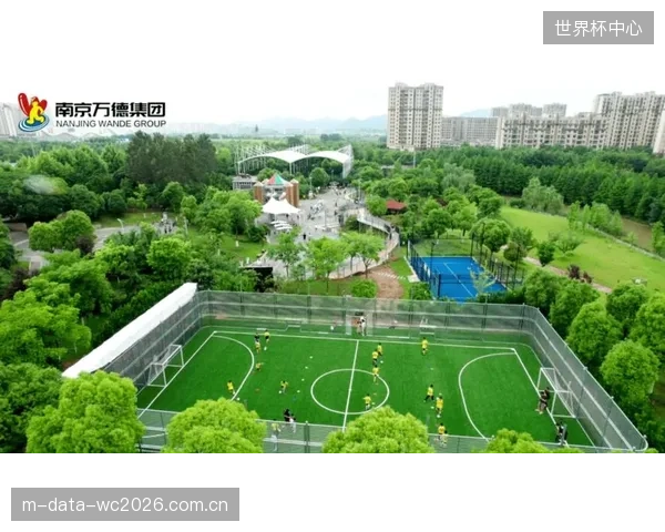 各厂家自建平台，用户每到一处新的体育公园都需重新下载注册，体验极不友好